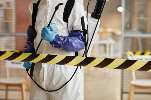 Professional Hoarding Cleanup technician working in Flora, IL